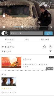 娱乐吃瓜小记百度云,带你领略娱乐圈幕后风云 第3张 娱乐吃瓜小记百度云,带你领略娱乐圈幕后风云 第3张